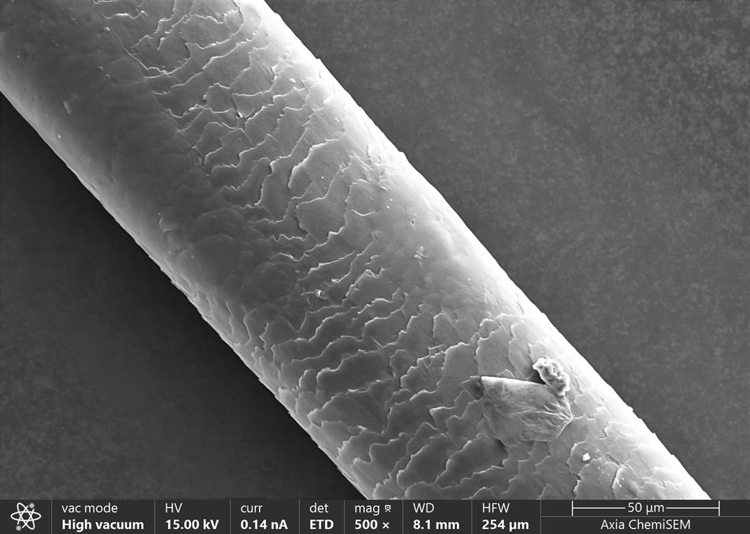 應用分享 | Axia ChemiSEM在發(fā)束中的表征應用