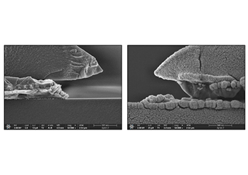 如何獲取導(dǎo)電不良樣品的高質(zhì)量SEM圖