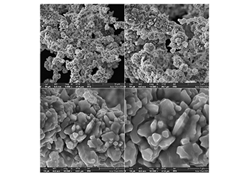 電鏡應用|硬質合金粉末微觀形貌及元素分析